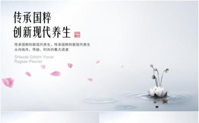 传承国粹荷花现代养生PPT模板缩略图