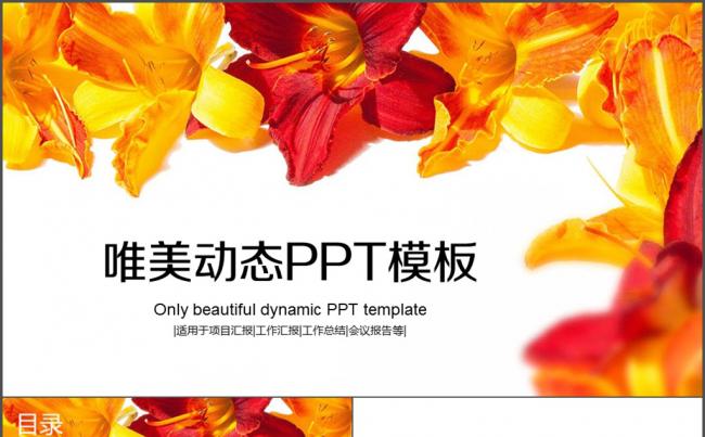 创业 年度工作总结 培训项目 策划方案缩略图