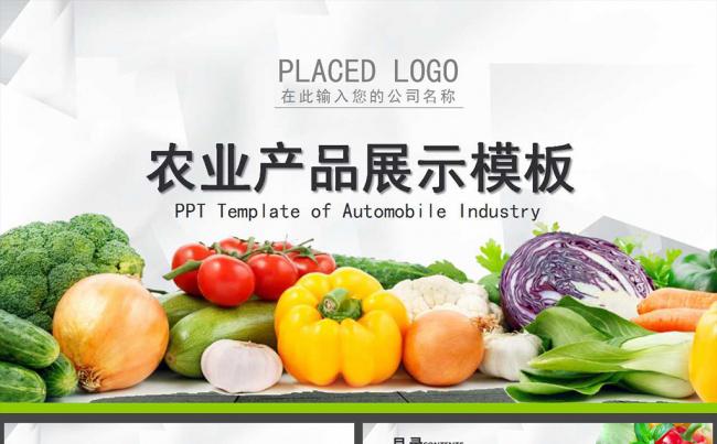 绿色生态农业水果蔬菜农产品ppt模板缩略图