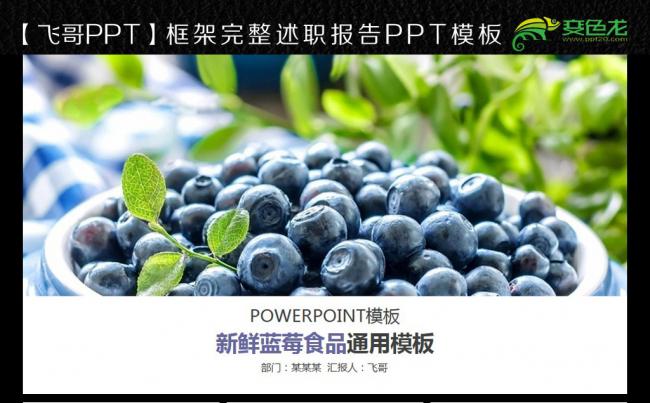 蓝莓食品商务ppt缩略图