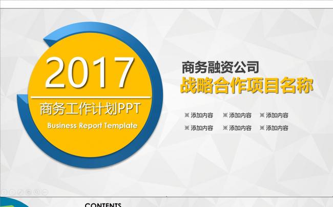 2017年商务 融资工作计划缩略图
