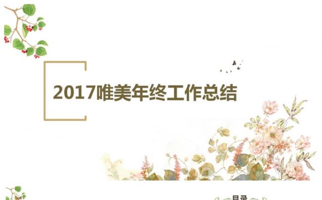 2017小清新简约年终工作总结ppt模板缩略图
