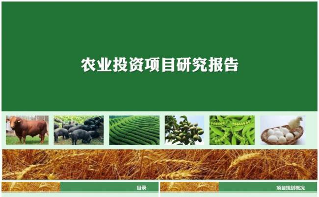 绿色生态农业招商农产品PPT模板缩略图