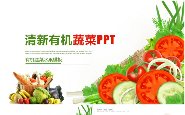 有机蔬菜有机果蔬农业种植招商营销PPT模板缩略图