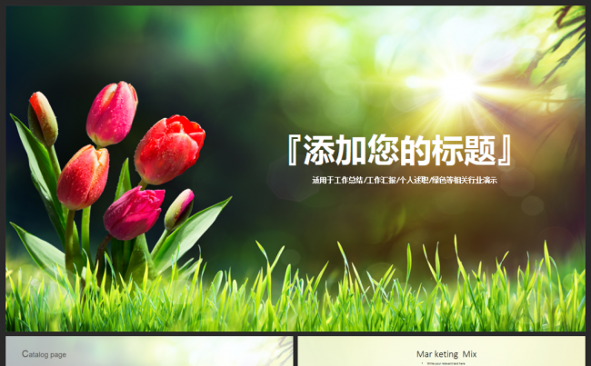 【小清新】主题2017工作计划活动策划总结汇报述职通用模板缩略图