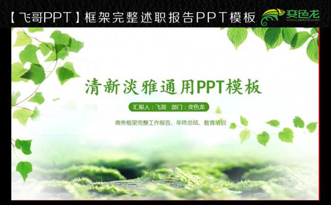 唯美简约时尚小清新教育教学述职报告PPT模板缩略图