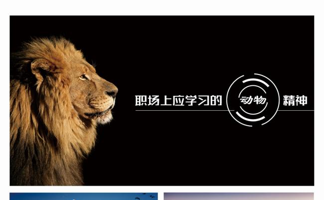 员工入职动物精神职场演讲企业宣讲员工培训新人入职缩略图