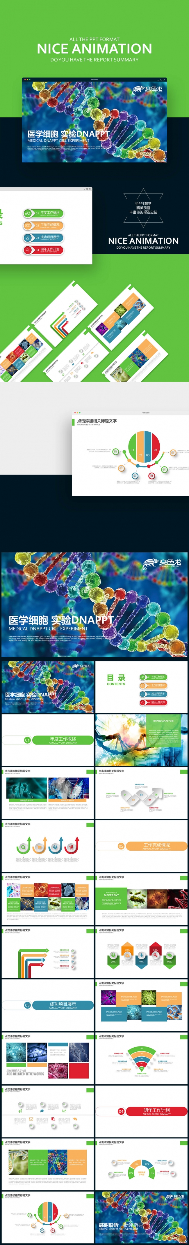 【壹德】医学细胞 生物基因DNA 遗传生命学 细菌实验PPT