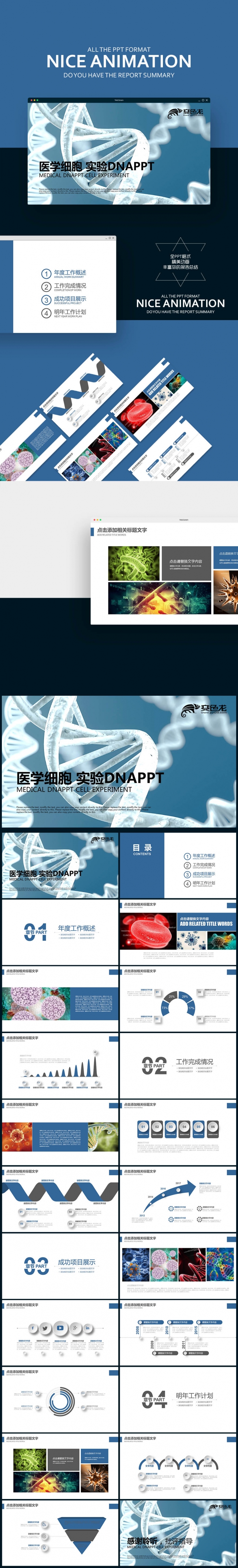 【壹德】生物基因DNA 医学细胞 遗传生命学 细菌实验PPT