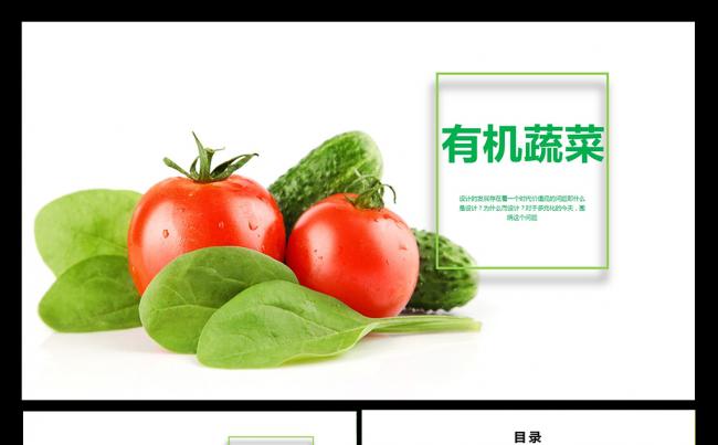 生物科技有机蔬菜农业种植水果蔬菜粮食作物PPT素材下载缩略图