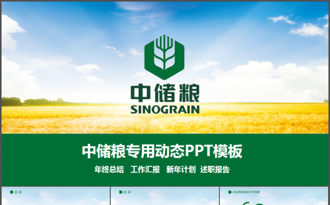 中储粮工作计划年终总结汇报述职报告PPT模板缩略图