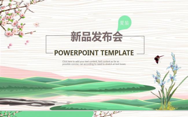 淡雅清晰新品发布会计划总结缩略图
