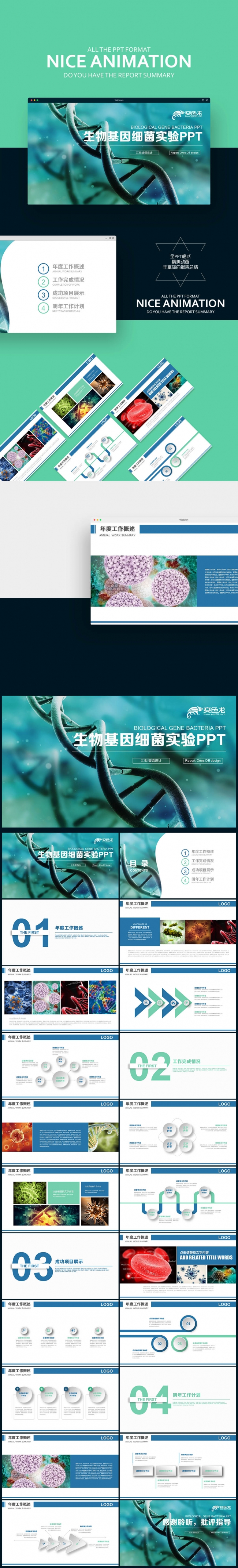 生物基因 医学细胞 DNA遗传生命学 细菌实验PPT