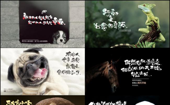 【最光阴】心灵鸡汤名言名句正能量精美大图分享动态PPT模板缩略图