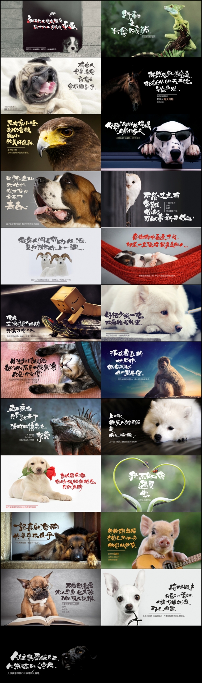 【最光阴】心灵鸡汤名言名句正能量精美大图分享动态PPT模板