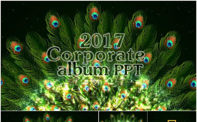 炫彩孔雀开屏唯美中国风震撼PPT模板缩略图