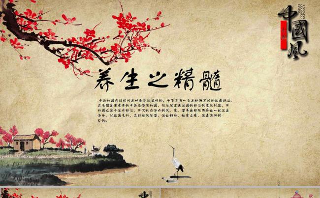 中国风中医养生保健中草药PPT模板缩略图