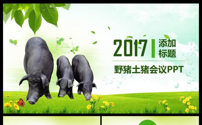 农业生态土猪养殖猪饲料生态养殖猪饲料ppt模板缩略图