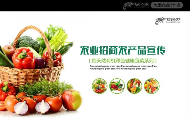 精美有机蔬菜水果农产品营养PPT模板健康讲座缩略图
