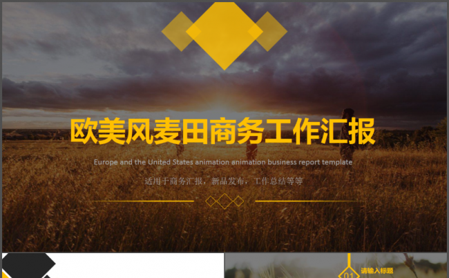 【DM演示】欧美风商务工作汇报模版缩略图