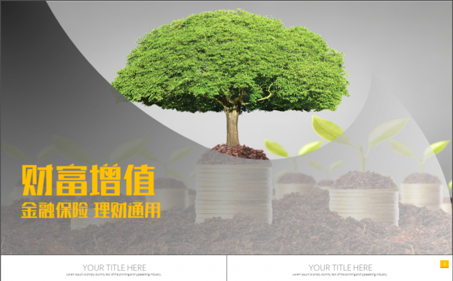 简洁大气金融保险投资理财财富增值银行通用PPT缩略图