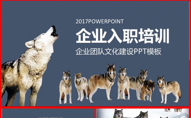 完整框架员工入职培训PPT团队精神团队合作狼文化模板素材下载缩略图