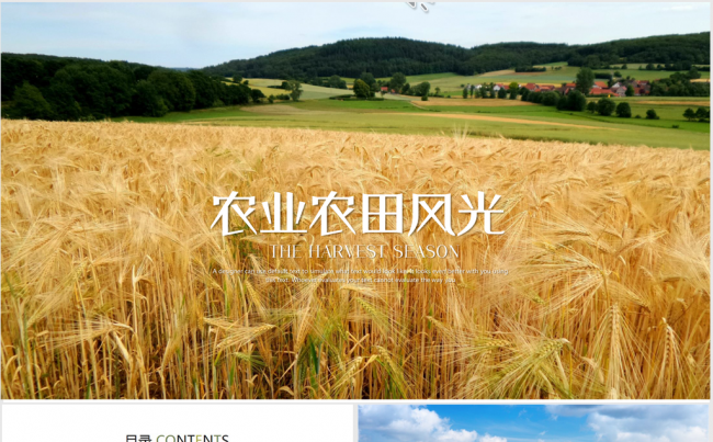 生态农业合作社农业生产PPT模板缩略图