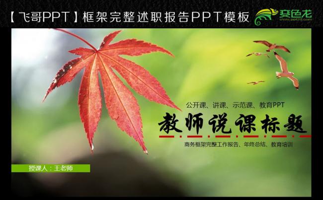 唯美简约风叶教师说课教育教学公开课PPT模板缩略图