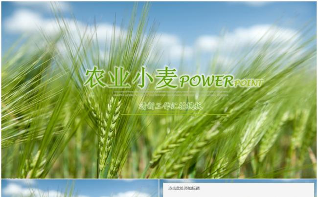 农业科技农业种植粮食小麦丰收春天ppt模板缩略图