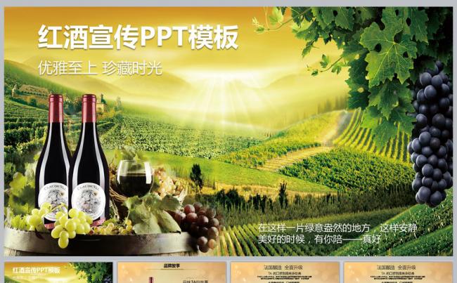 红酒品牌宣传简介PPT模板缩略图