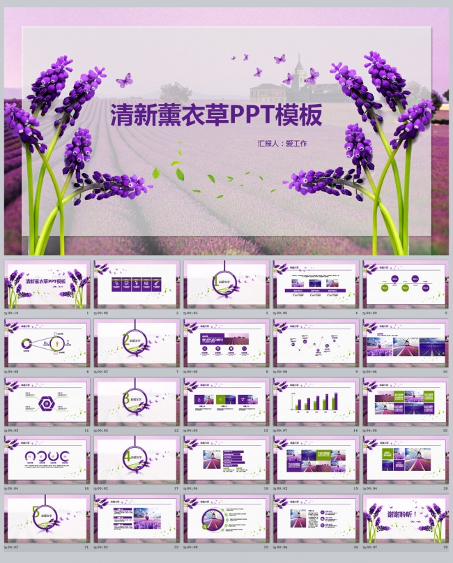 清新薰衣草PPT模板