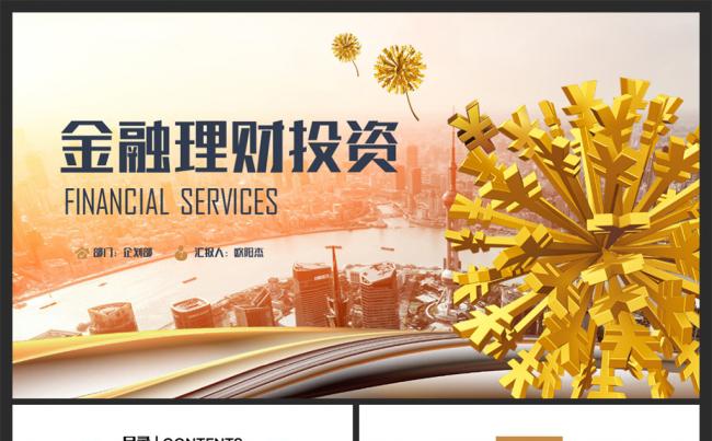精致高端金融理财财务投资银行保险 2017工作计划PPT缩略图