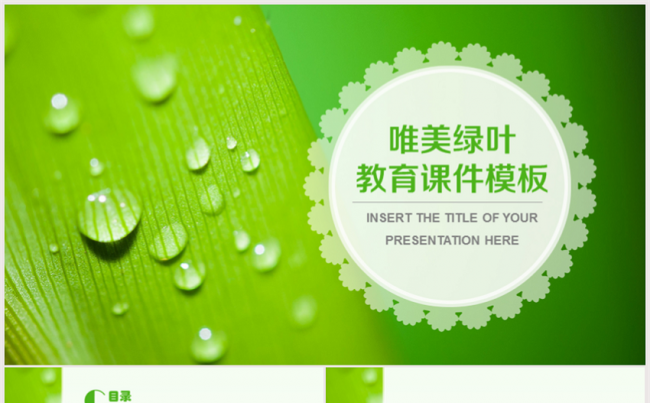 唯美绿叶教育通用PPT模板缩略图