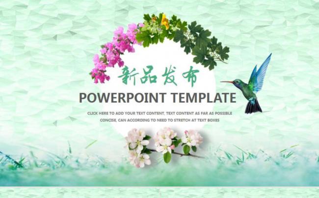 清小花新品发布模板设计缩略图