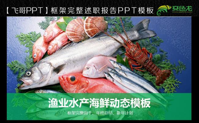 【飞哥PPT】精美渔业水产海鲜渔业开发淡水养殖PPT模板缩略图