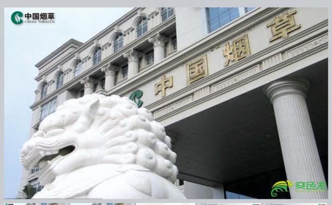 中国烟草工作汇报PPT模板缩略图