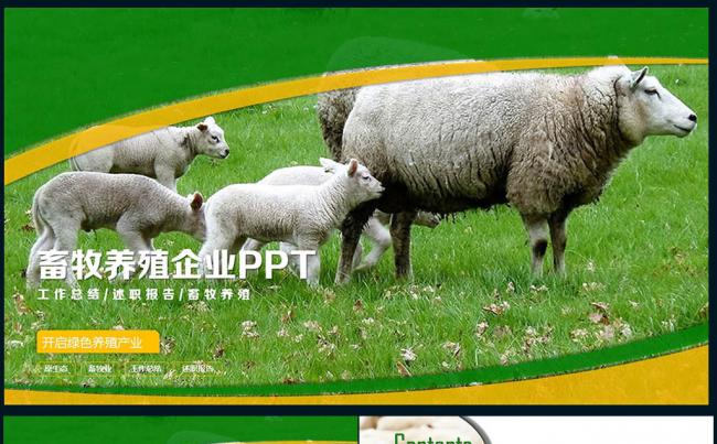 精美奶牛畜牧农场养殖行业草原PPT缩略图