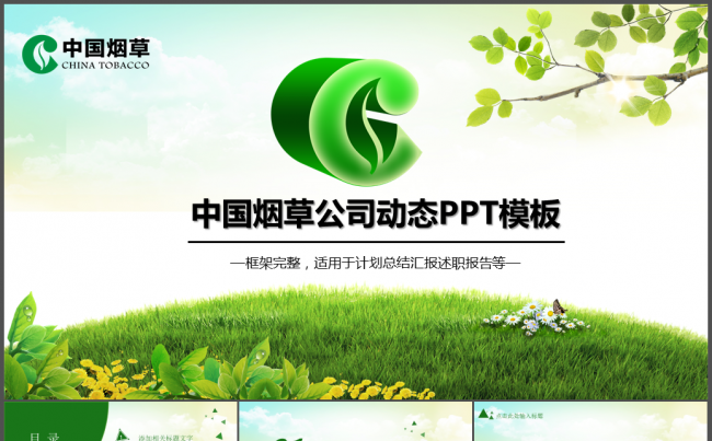 中国烟草局烟草公司工作总结汇报PPT模板缩略图