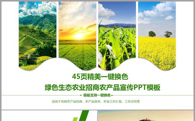 最新绿色生态农业招商农产品宣传工作汇报总结PPT模板缩略图