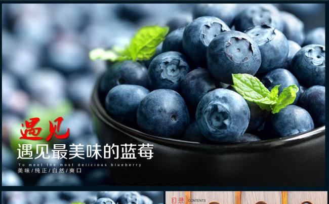 【壹德】绿色环保农业创业项目 科技发展 水果蓝莓水果健康饮食缩略图