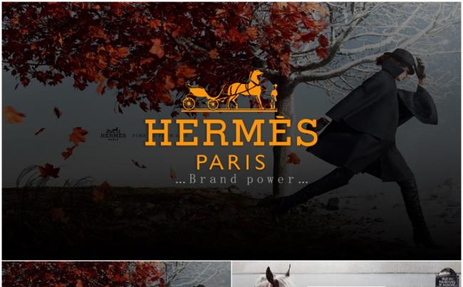 爱马仕时尚奢侈品珠宝首饰耳环戒指项链手镯服装品牌ppt-变色龙ppt