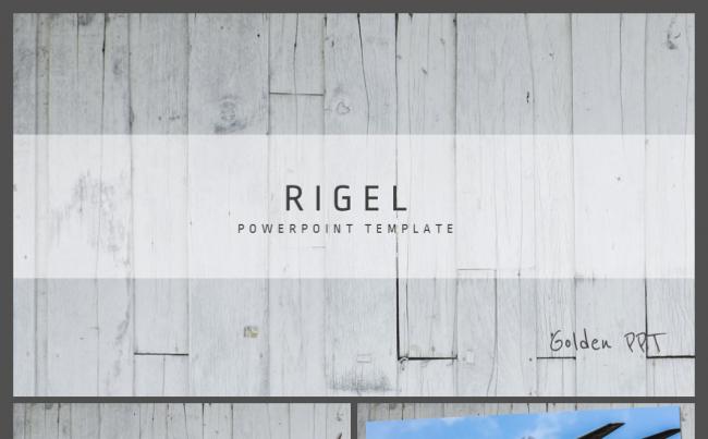 RIGEL欧美范木纹风格公司简介商业计划书动态PPT模板缩略图