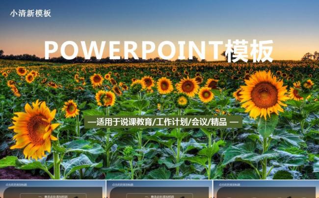 太阳花 教育说课模板 年终总结工作计划PPT缩略图