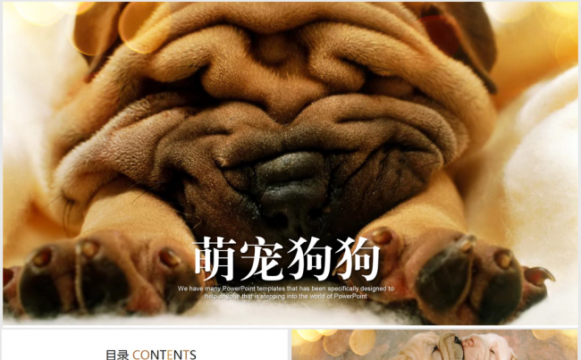 萌翻了可爱萌狗宠物ppt动态模板缩略图