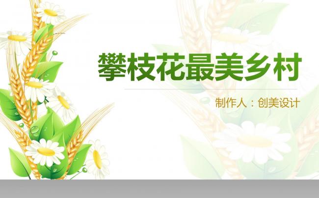《创美设计》家乡介绍 最美乡村 攀枝花缩略图