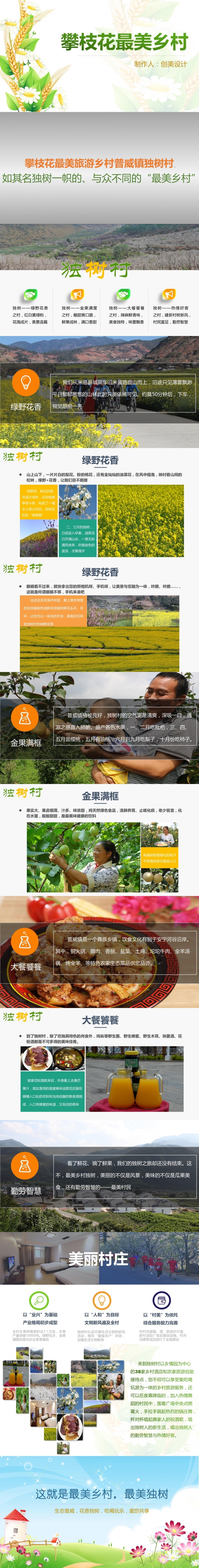《创美设计》家乡介绍 最美乡村 攀枝花