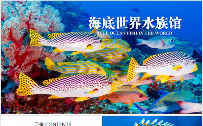 唯美海底世界海洋ppt动态模板缩略图