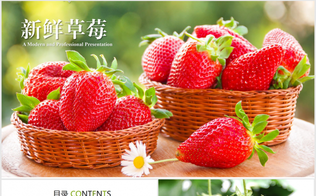 新鲜草莓ppt动态模板缩略图
