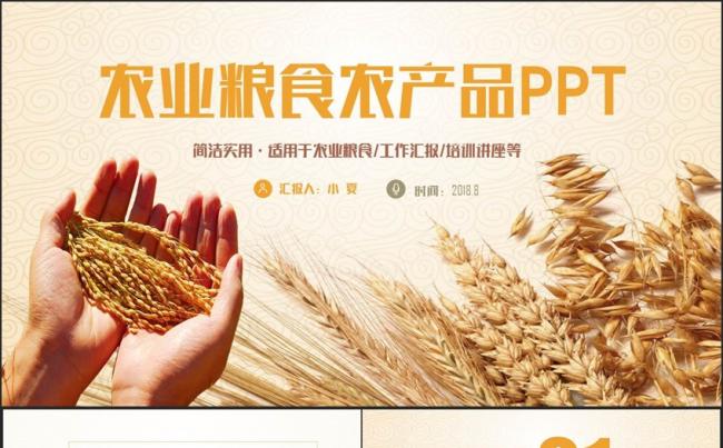 简洁生态农业农产品粮食招商新农村建设PPT缩略图