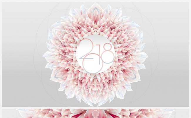 唯美文艺淡雅3D立体手绘花朵PPT缩略图
